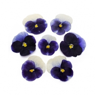 Цветы обезвоженные съедобные - "Виола, Волшебный синий, плоские" (Упаковка ~ 10 шт.) фото 13282