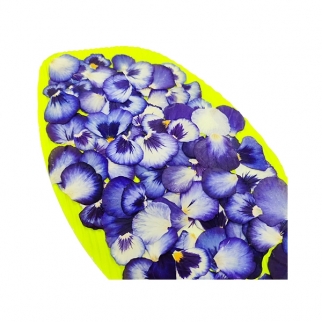 Лепестки обезвоженные съедобные - "Виола, Синяя бездна" (Упаковка ~100 шт.) фото 13257