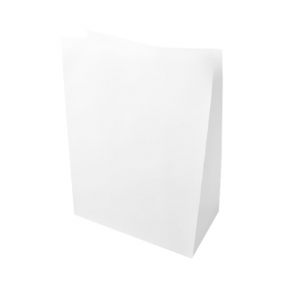 Бумажный пакет - "Белый. Без ручек. 32х20х34 см., 80 г/м²." (Упаковка 10 шт.) фото 12808